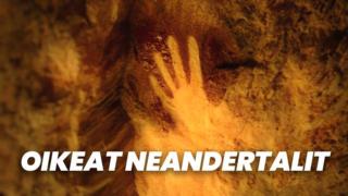 Oikeat neandertalit (7)