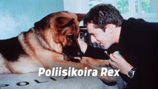 Poliisikoira Rex (12) - Petollinen läheisyys