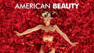 American Beauty (12) - American Beauty