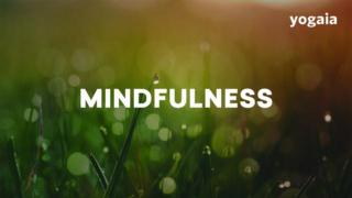 Mindfulness - Mindfulness