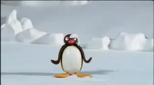 Pingu