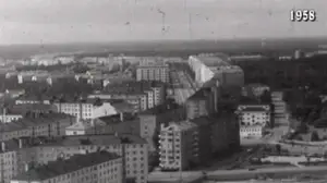 Vuosirenkaita