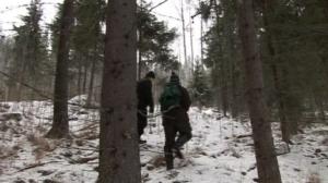 Luonto lähellä