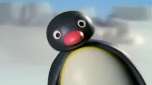 Pingu