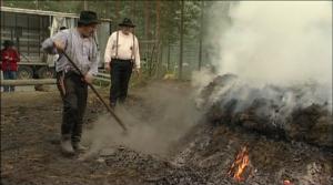 Luonto lähellä: Luonto lähellä 19.8.