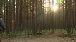 Luonto lähellä