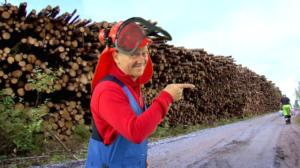 Hommat hoituu