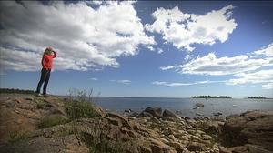 Kysymyksiä luonnosta
