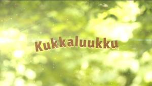 Kukkaluukku: Näin istutat kukoistavan pionipenkin
