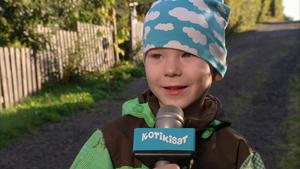 Kotikisat