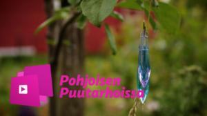 Pohjoisen puutarhoissa: Permapihalla tuholaiset ja rikkaruohot ovat tarhurin ystäviä