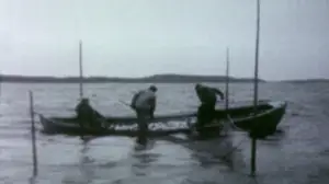 Taistelu saaristostamme. Tuhoutuuko saaristo?
