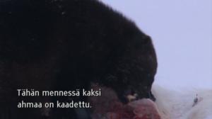 Yle Oddasat