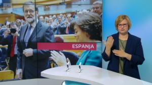 Yle Uutiset viittomakielellä