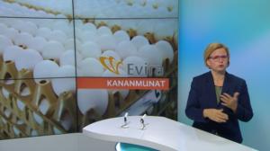 Yle Uutiset viittomakielellä