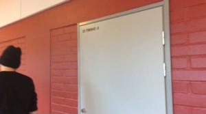 Stafettkarnevalen 2017 - skolornas egna videor: Dalsbruks skola