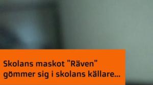 Stafettkarnevalen 2017 - skolornas egna videor: Socklot skola