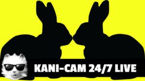 Kani-CAM 24/7 DAY 30