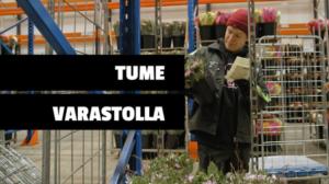 Tume oikeissa töissä: Kukkavarastolla