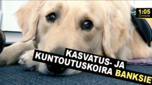Kioski trending: Banksie auttaa autismin kirjon ihmisiä arjessa ja kuntoutuksessa