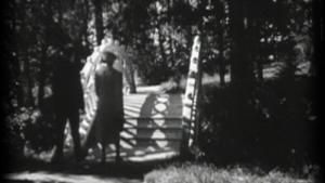 Vuosirenkaita