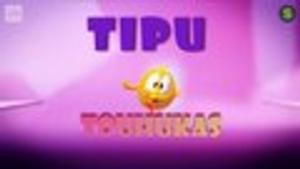 Tipu Touhukas