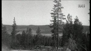 Vuosirenkaita: 14.12.2015 14.53