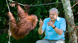 David Attenborough - luonnon asialla: 31.12.2015 08.05