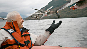 David Attenborough - luonnon asialla: 10.11.2015 19.00