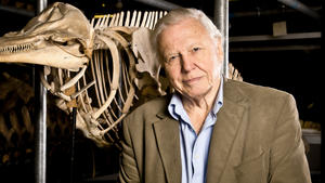David Attenborough - luonnon asialla: 03.11.2015 19.00