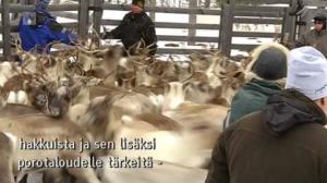Yle Oddasat: 29.03.2016 15.15