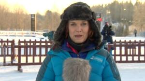 Hiihdon Suomen Cup: Naisten viesti: 16.01.2016 11.50