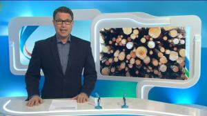 Yle Uutiset Lappi: Yle Uutiset Lappi 24-02-2016 Klo 18-22: 24.02.2016 17.58