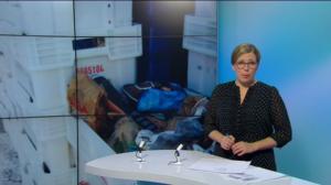 Yle Uutiset Uusimaa: Yle Uutiset Uusimaa 02-03-2016 klo 18-22: 02.03.2016 18.35