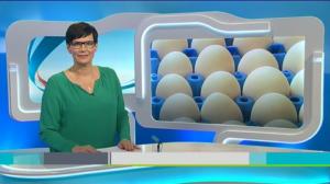 Yle Uutiset Lounais-Suomi: Yle Uutiset Lounais-Suomi 04-03-2016 Klo 18-22: 04.03.2016 17.32
