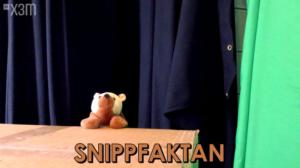 Verdens minsa sjåu #1: 08.03.2016 11.11