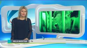 Yle Uutiset Itä-Suomi: Yle Uutiset Itä-Suomi 10-03-2016 Klo 18-22: 10.03.2016 17.55