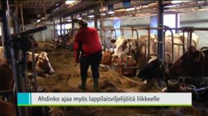 Yle Uutiset Lappi: Yle Uutiset Lappi 10-03-2016 Klo 18-22: 10.03.2016 18.46
