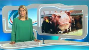 Yle Uutiset Pohjois-Suomi: Yle Uutiset Pohjois-Suomi 11-03-2016 Klo 18-22: 11.03.2016 18.13