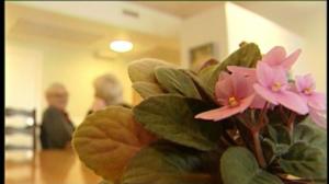 Yle Uutiset Pirkanmaa: Yle Uutiset Pirkanmaa 16-03-2016 Klo 17-06: 16.03.2016 16.35