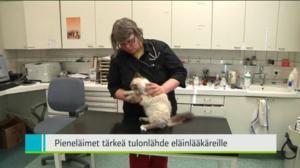 Yle Uutiset Pohjanmaa: Yle Uutiset Pohjanmaa 16-03-2016 Klo 18-22: 16.03.2016 17.52