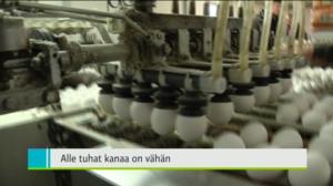 Yle Uutiset Pohjanmaa: Yle Uutiset Pohjanmaa 23-03-2016 Klo 18-22: 23.03.2016 18.02