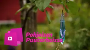 Pohjoisen puutarhoissa: Permapihalla tuholaiset ja rikkaruohot ovat tarhurin ystäviä: 08.04.2016 16.15