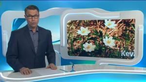 Yle Uutiset Häme: Yle Uutiset Häme 04-05-2016 Klo 18-22: 04.05.2016 17.48