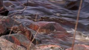 Yle Uutiset Lappi: Yle Uutiset Lappi 06-05-2016 Klo 17-06: 06.05.2016 16.53