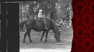 Arkistosta revittyä: Hevonen: 10.06.2016 18.30