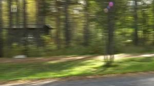 Novosti Yle: 13.09.2016 16.50