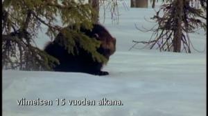 Yle Oddasat: 05.01.2017 15.15