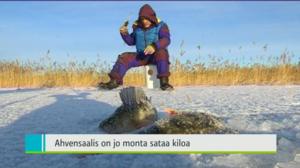 Yle Uutiset Lounais-Suomi: Yle Uutiset Lounais-Suomi 05-01-2017 Klo 18-22: 05.01.2017 18.07