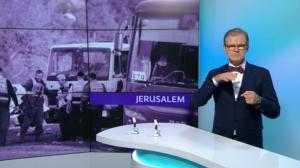 Yle Uutiset viittomakielellä: 08.01.2017 16.55